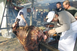 Ökörsütés az Aradi Borfesztiválon