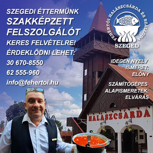 allashirdetes felszolgalo web
